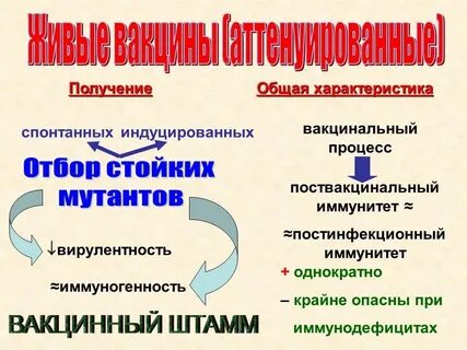 Спонтанные характеристики