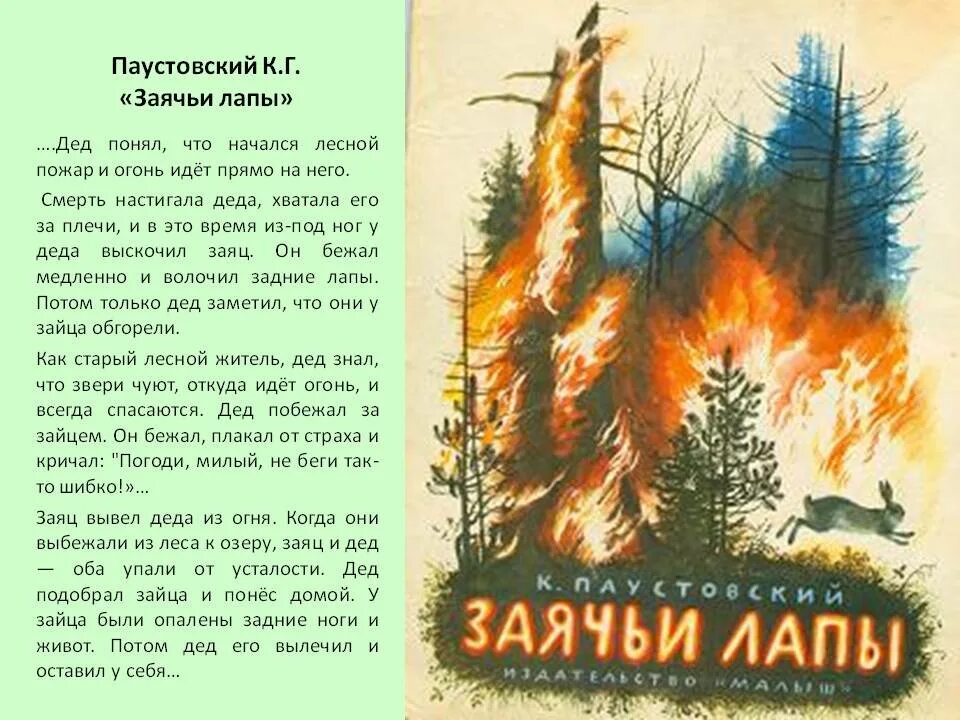 Произведение к г паустовского заячьи лапы. Паустовский заячьи лапы книга. Заячьи лапы Паустовский книжка. Паустовский к.г. "заячьи лапы". Рассказ Паустовского заячьи лапы.