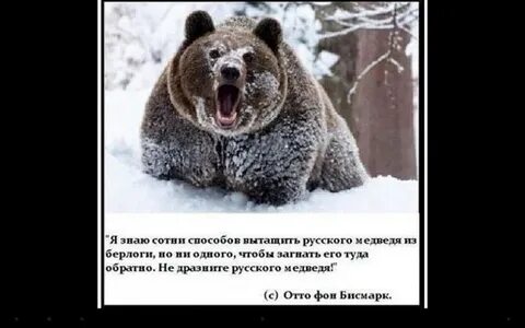 Русский медведь текст