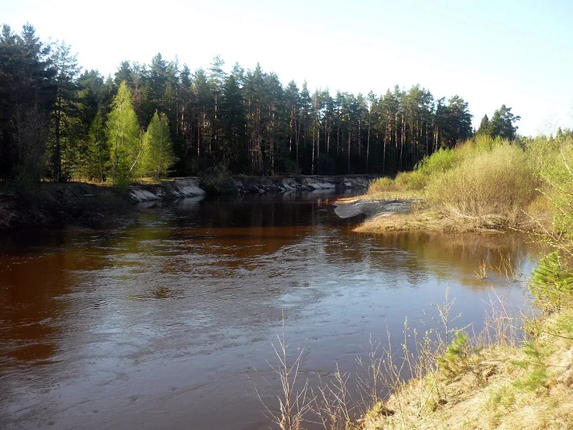 Узола река в нижегородской. Река узола. Река узола. Река узола нижегородская область. Река узола.