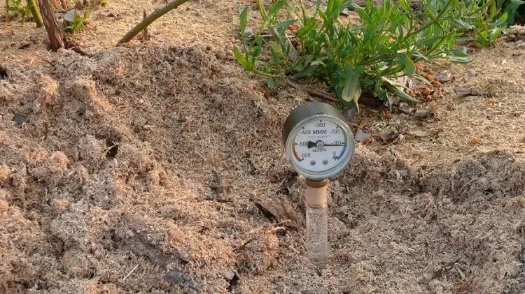 Почвы повышенной влажности. Тензиометр почвенный. Сорняки на глинистой почве. Влажность почвы. Термостатно-весовой метод определения влажности почвы.