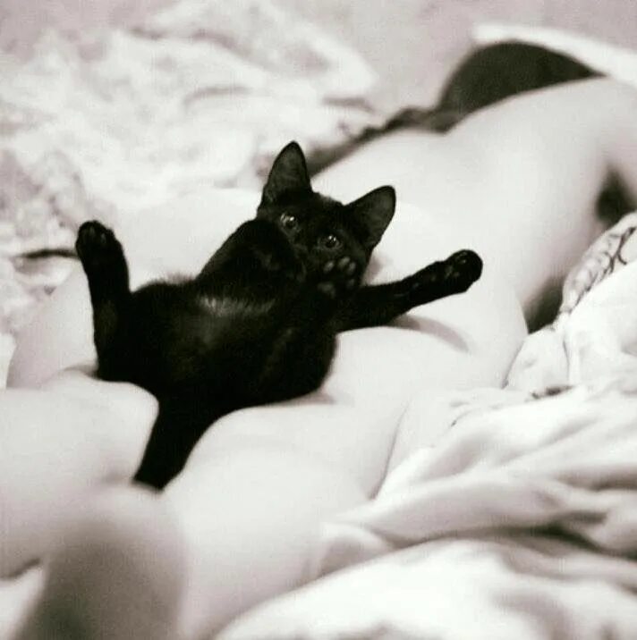 48 Cats Posing Like Pin Up Girls Cat pose, Pin up, Cats