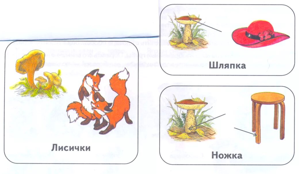 Гриб группа слов. Многозначные слова для детей. Омонимы задания для дошкольников. Многозначные слова для дошкольников. Многозначность слов для детей.