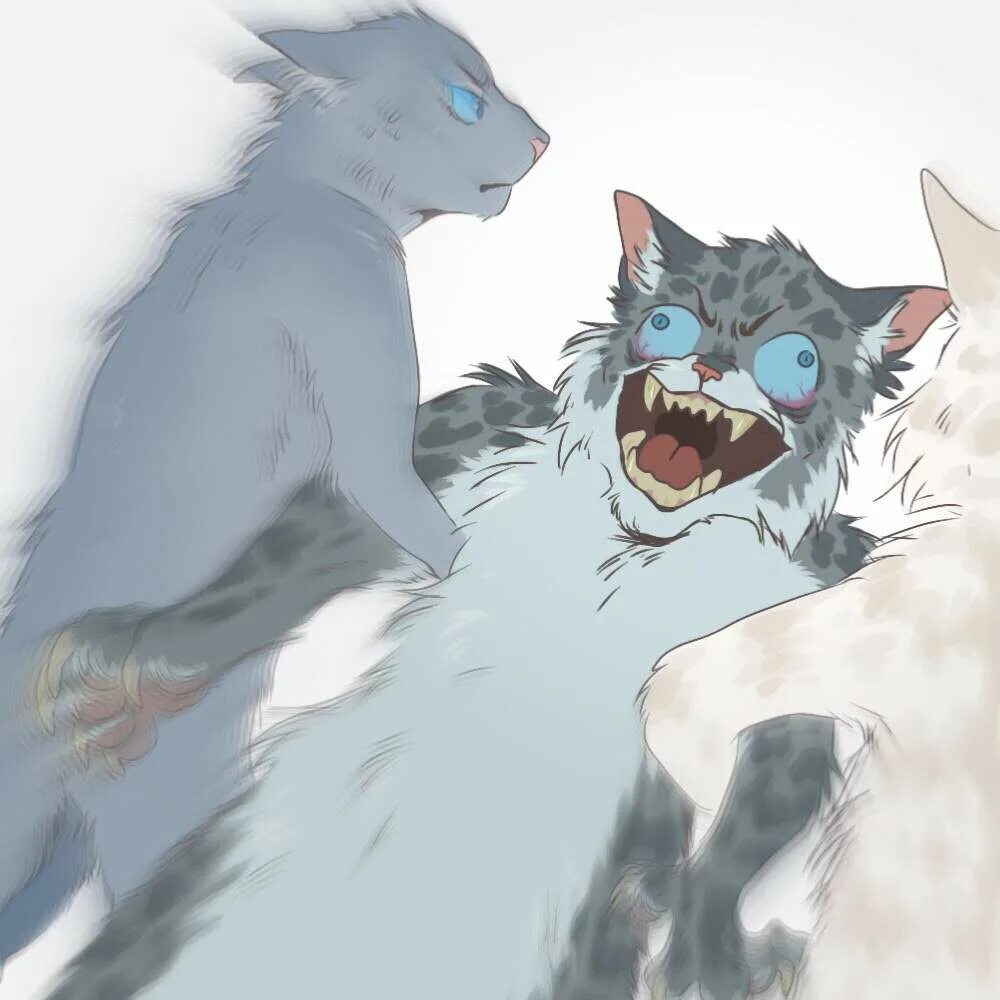 Коты воители инфекция. Коты воители warriors cats. Коты воители ольхогрив и вельвет. Коты воители инфекция. Коты воители смерть остролистой.