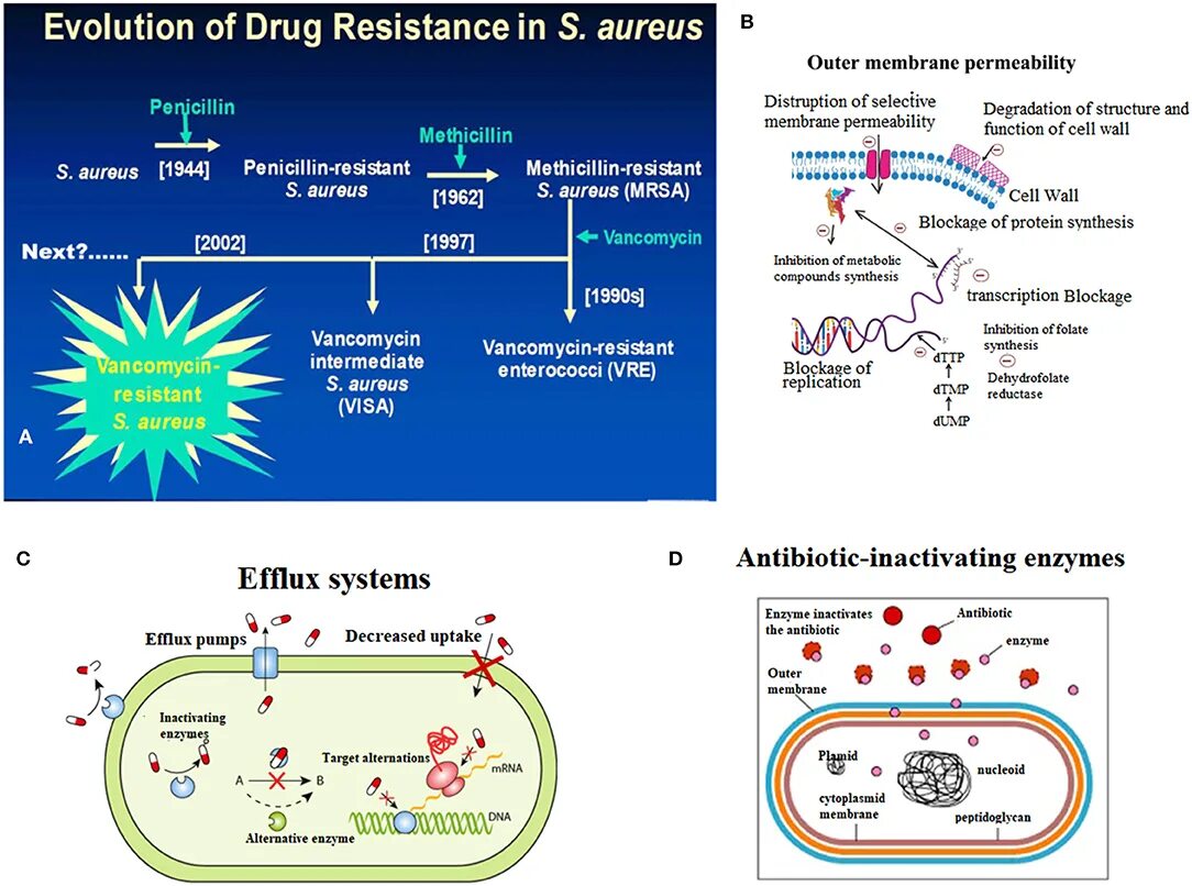 Механизмы резистентности стафилококка ауреус. Antibiotic Resistance mechanisms. MRSA стафилококки механизм. Mechanism of Action of antibiotics. Резистентность крови