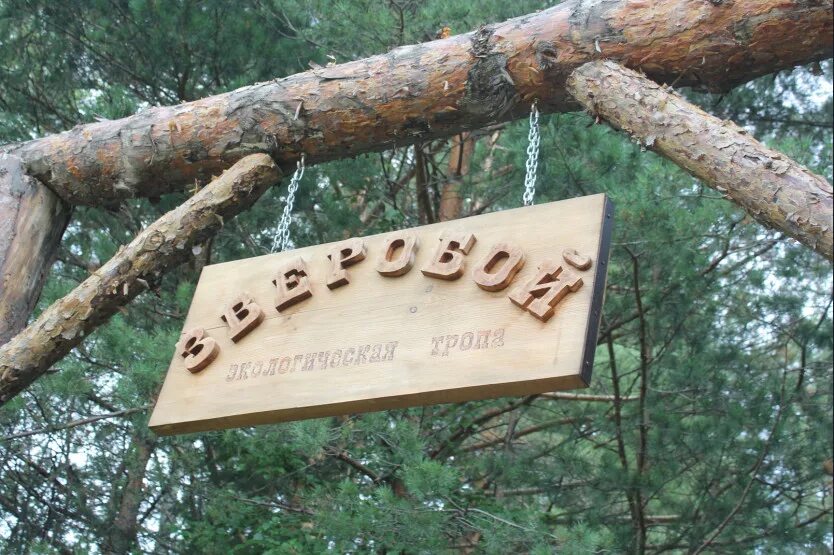 Зверобой новососедово. Экотропа зверобой новосибирск. Зверобой тропа новосибирск. Троп новосибирск. Тропа зверобой бердские скалы.