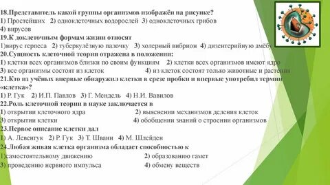 Представители какой группы