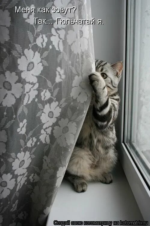 Я стесняюсь прикол. Не стесняйтесь своих чувств и желаний. Хомяк смущается. Почему девочки стесняются красивых парней. Стеснение иллюстрация.