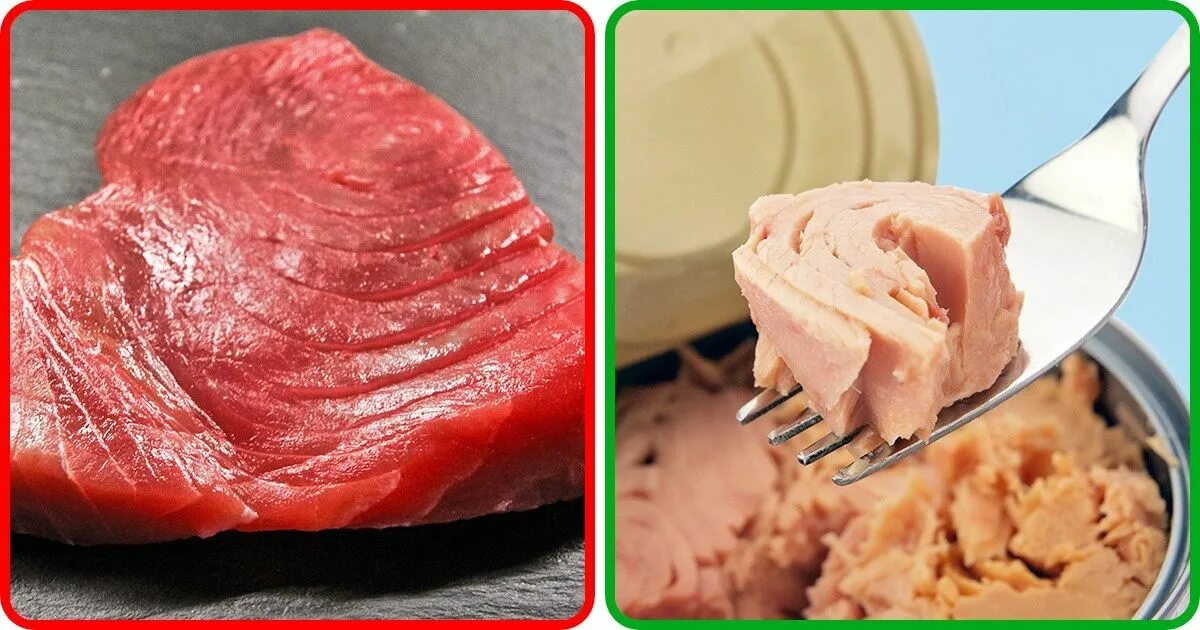 Тунец ртуть. Сливочное мясо. Мясо со сливками. Желтоперый тунец ртуть.