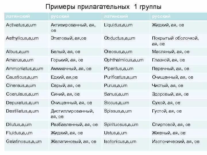 Множественное число прилагательных в латинском языке