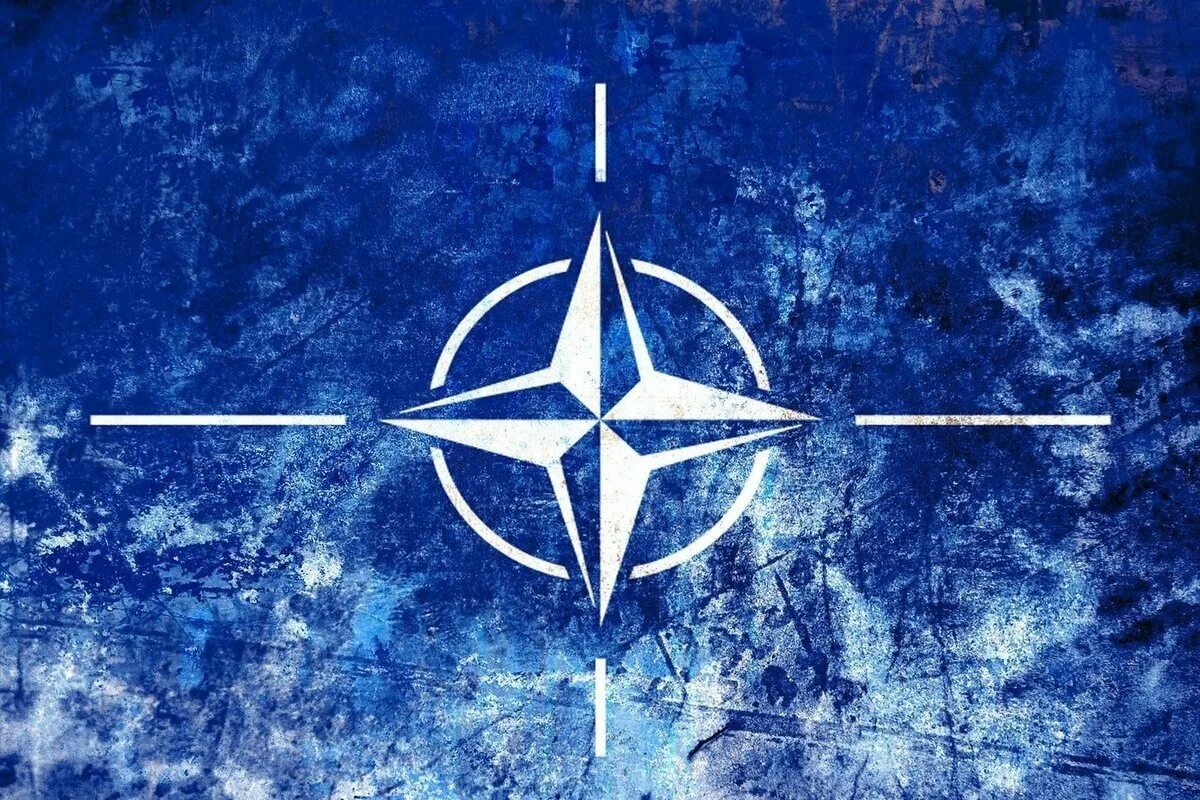 Эксперт: Дни НАТО сочтены