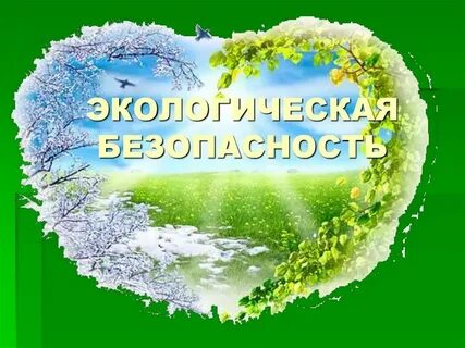 Реализация экологической информации