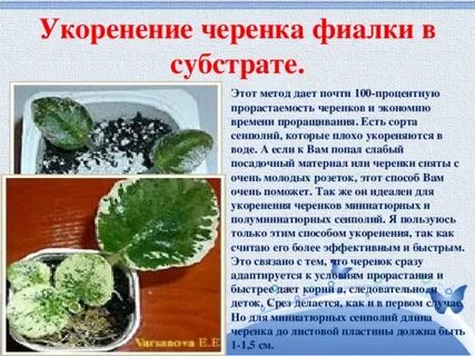 Сколько времени листа