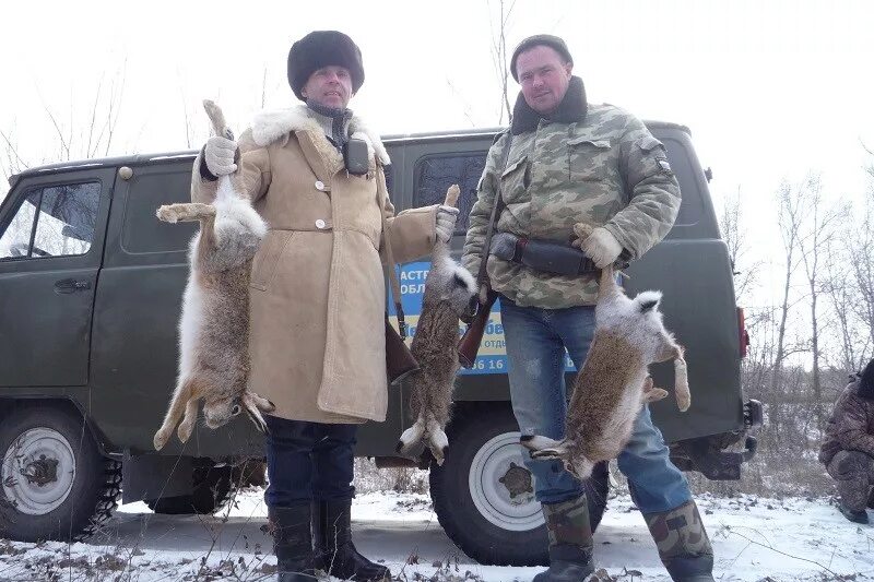 Сроки охоты на пушного зверя