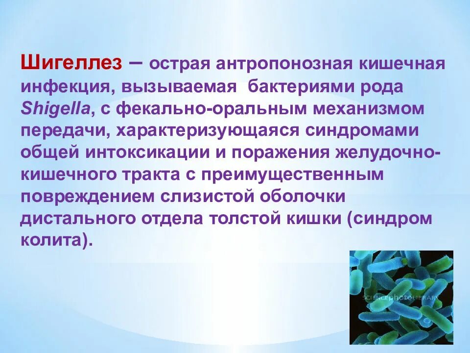 Формы острой кишечной инфекции. Шигелла дизентерия. шигеллез презентация. кишечные инфекции дизентерия. дизентерия инфекционные болезни.