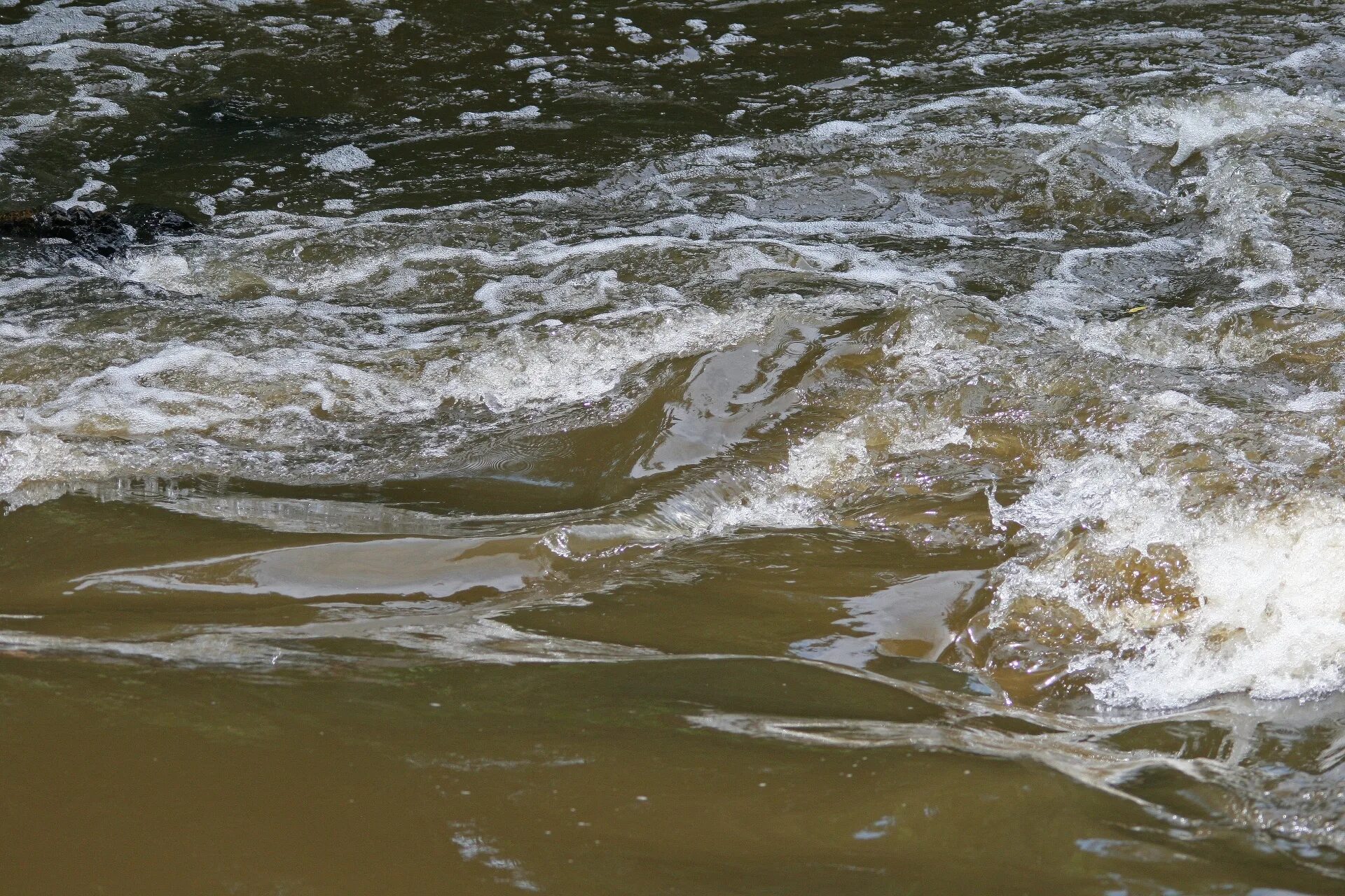 Вода река. Реки воды живой. Поток воды ручей. Пресноводная вода. Рек и а вода становилась