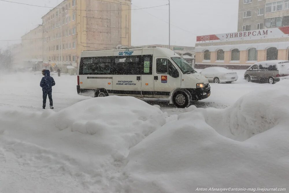 Магадан деревья в снегу. Магадан город горы. Снежный магадан. Погода снежный магадан. Заснеженный магадан.