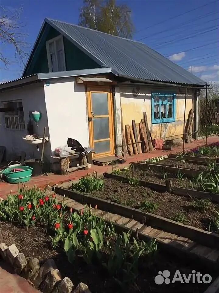 Объявления куплю в дзержинске. Доскино Горбатовка. Горбатовка Доскино Нижегородской области. Доскино Дзержинск. Дзержинск Доскино сады.