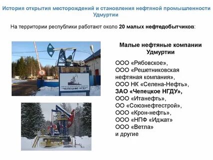 Отрасли удмуртской республики