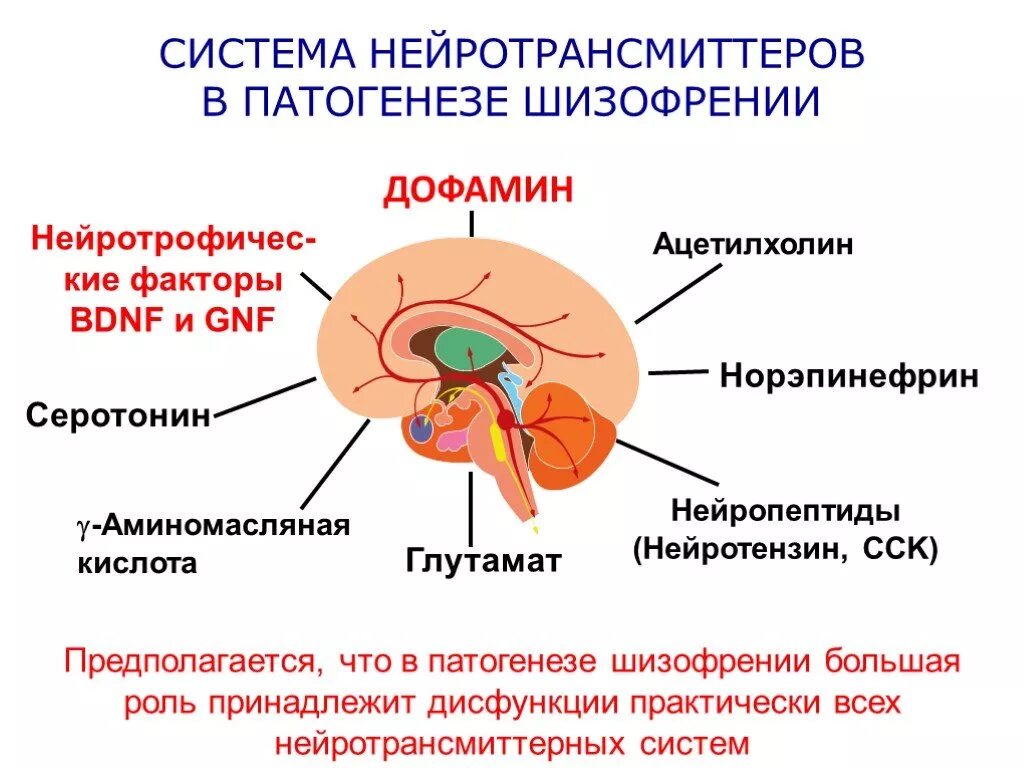 Дофаминовая теория патогенез шизофрении. Шизофрения биохимический механизм. Нейротрансмиттерная теория шизофрении. Механизм развития шизофрении. Рожденные шизофренией