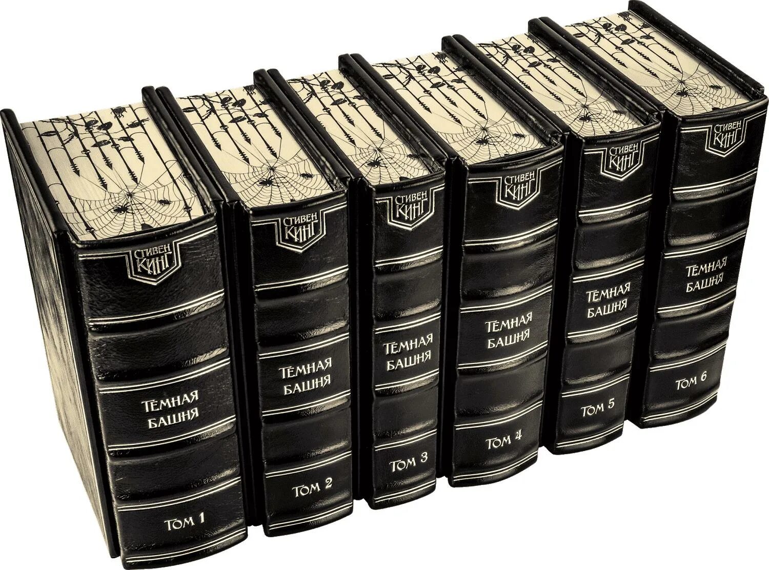 Цикл из 6 книг. Цикл из 6 книг