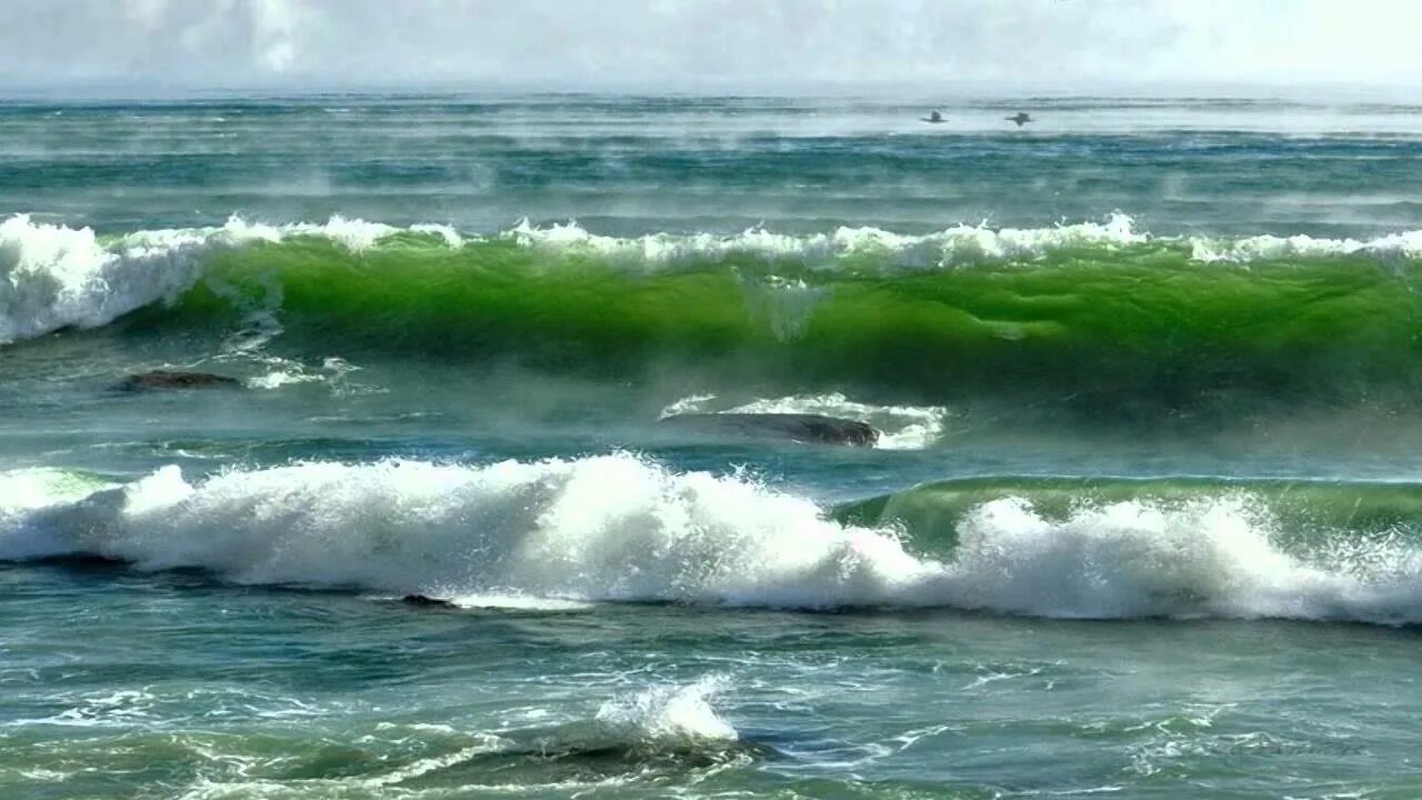 Разное состояние моря. Море, волны. Прозрачная волна. Прибрежные волны. Морской Прибой.