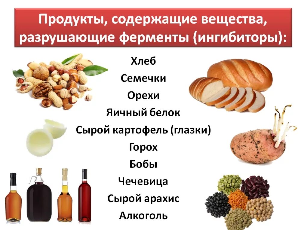 Пищеварительные ферменты продукты