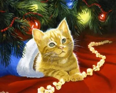 Картинки кот нова