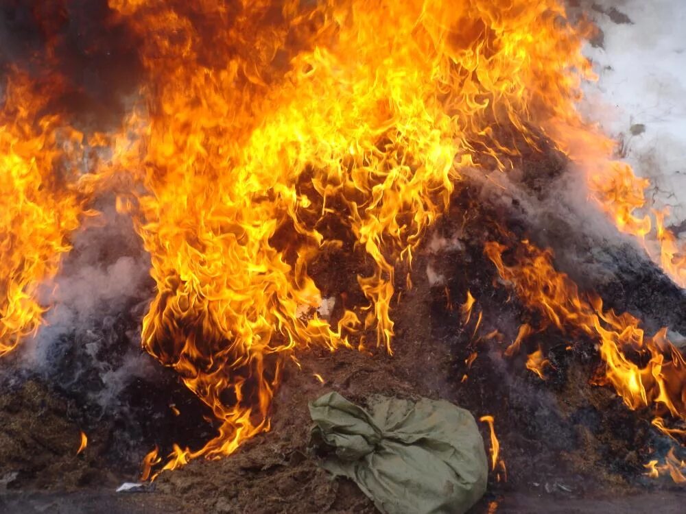 Великое уничтожение огня. Благовещенск в Амурской области сжигают. Уничтожение огнем противника. Виды огня на уничтожение на сковывание. Огонь разрушает