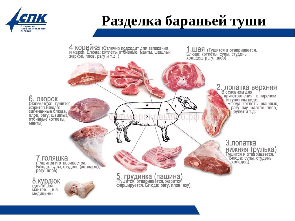 Мясо баранина схема разруба. Схема разделки бараньей туши. Схема разделки мяса баранины. Части туши баранины схема.