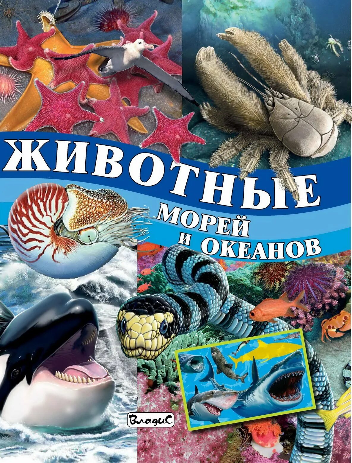 Обитатели океанов для дошкольников. Животные морей и океанов книга. Обитатели морей и океанов книга. Животные морей и океанов для детей. Обитатели моря для детей.