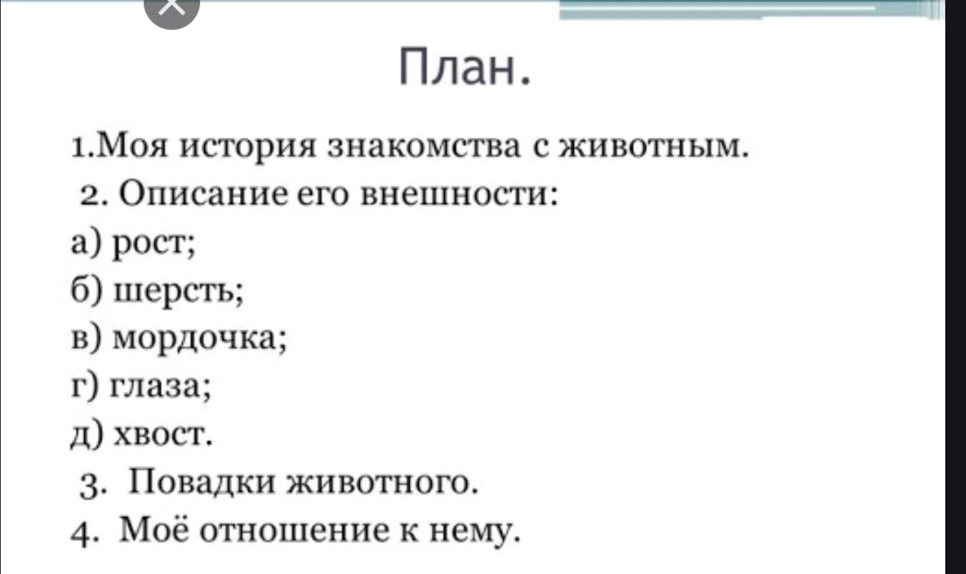 Сочинение описание животного 5. План сочинения описания животного. План сочинения описания животного 5 класс. План текста описания. План сочинения описания животного 3 класс.