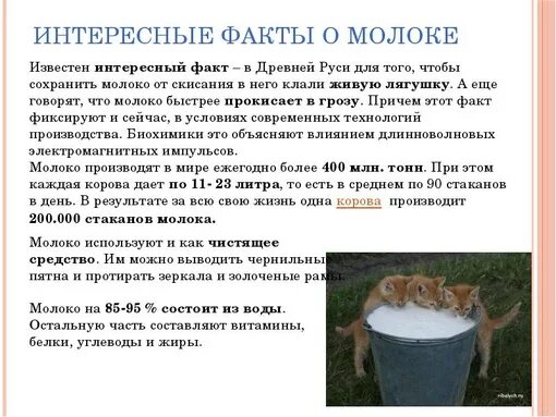 Кисломолочные продукты презентация. Состав натурального молока. Молоко домашнее. Чем известно молоко. Слайд молоко.