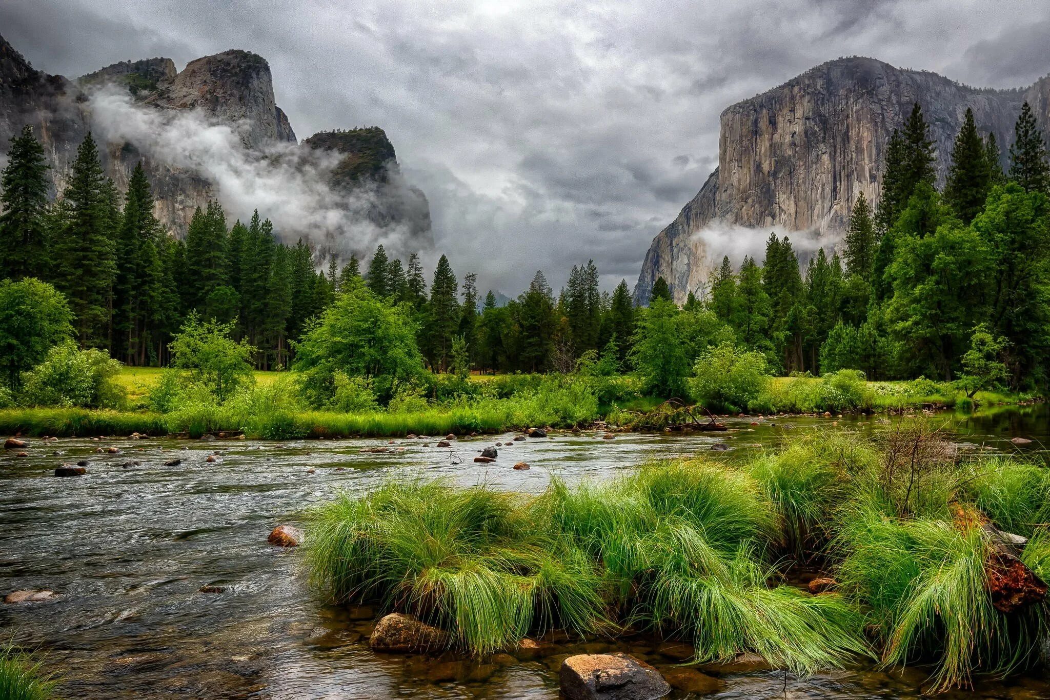 Река Мерсед, Йосемити, США.. Река, горы, лес, River, Mountains, Forest. Лес Йосемити. Красивый пейзаж. Природа этого региона удивляет