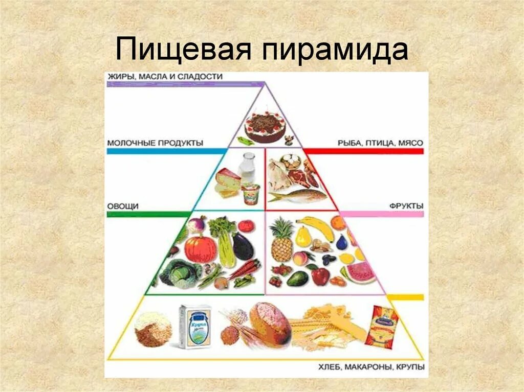 Калорический коэффициент кислорода. Углеводы сахара. Потребность лошади в питательных и минеральных веществах. Продукты содержащие сахар. Химический эквивалент.