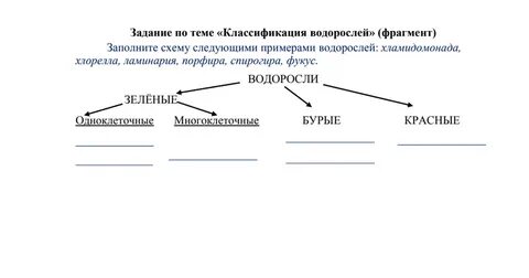 Систематика водорослей таблица
