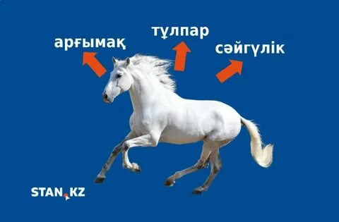 Тұлпар карта тараз