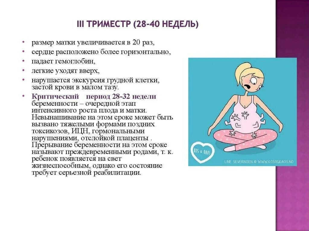 Ванна в первом триместре. Рекомендации для беременной во 2 триместре. Питание в третьем триместре беременности. Меню беременным 3 триместр. Советы для беременных 3 триместр.