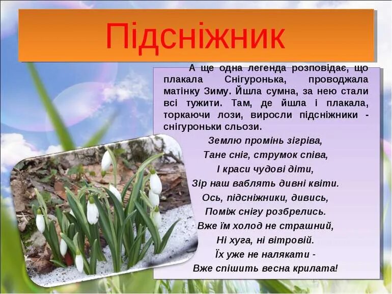 Мифы о цветах для детей. Март первый месяц весны еще везде снег. Легенды о весенних цветах. Цветок пролеска легенда. Легенды о цветах.