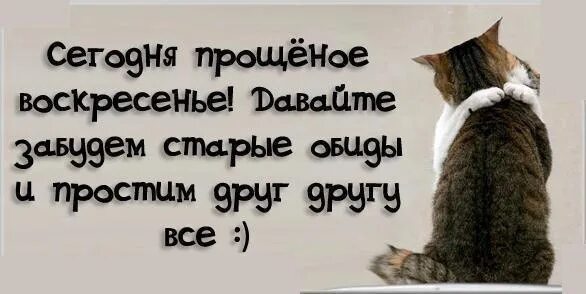 Про прости