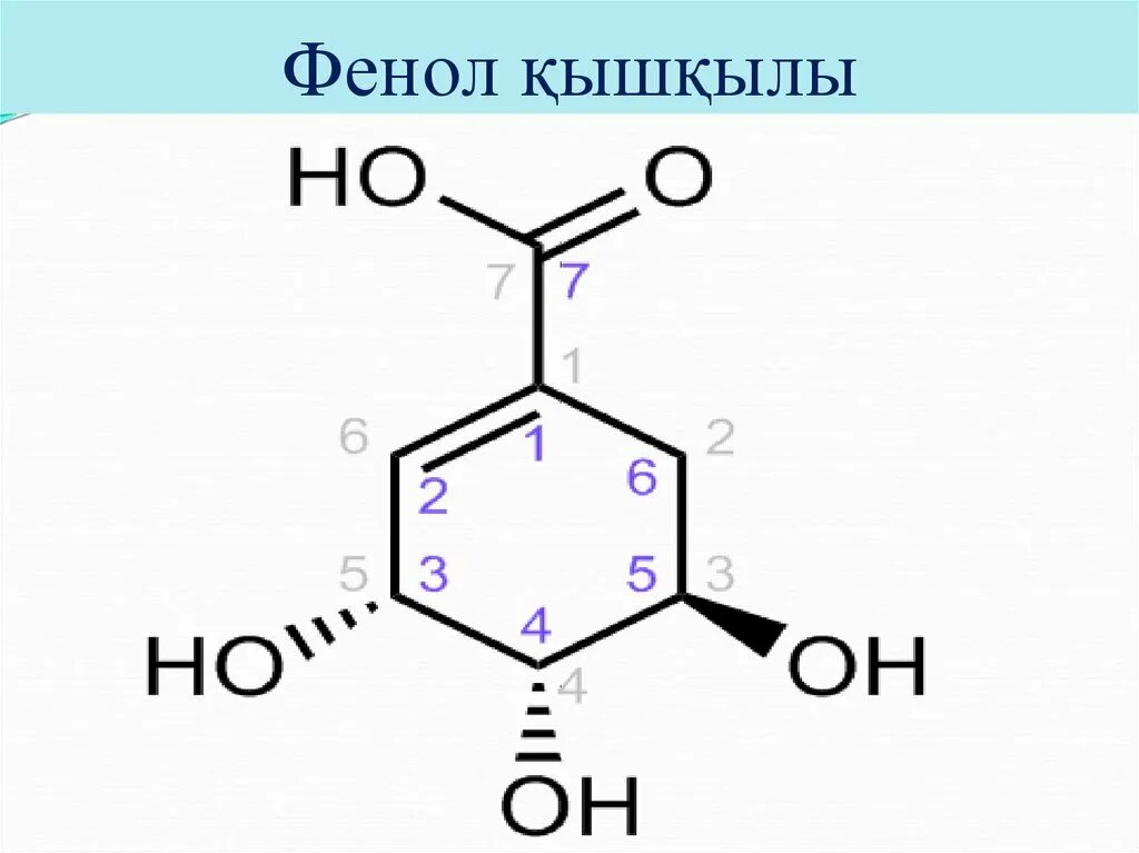Фенолу соответствует формула. Фенол. фенолдар. гидроксиметилирование фенолов. формула фенолов.