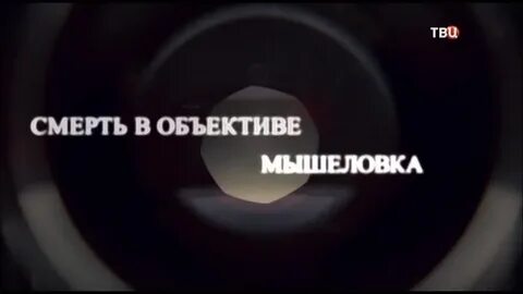 Твц вчера