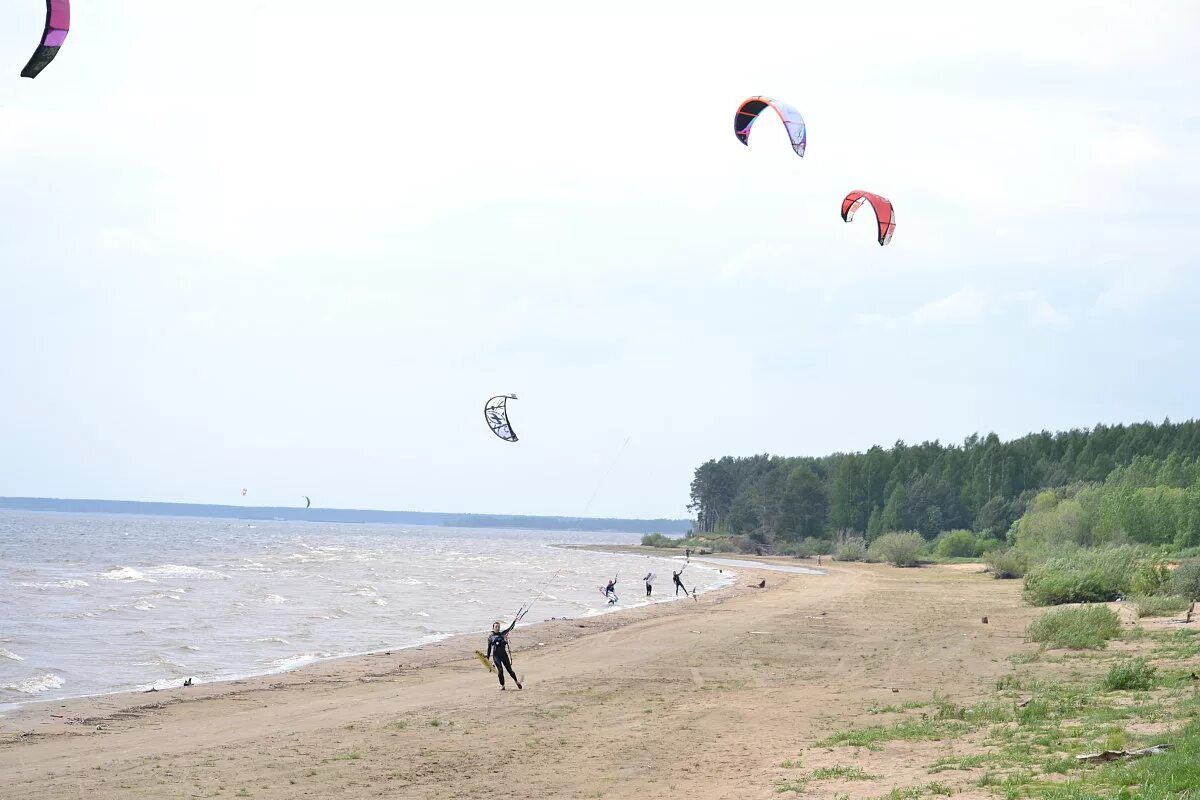 Милюшино Рыбинское водохранилище. Рыбинское водохранилище кайт спот. Кайтинг на Рузском водохранилище. Рыбинский водохранилище кайтсерфинг.