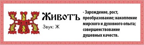 Имя означает пузо сканворд 5