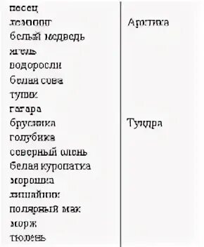 Окружающий мир тест по теме тундра