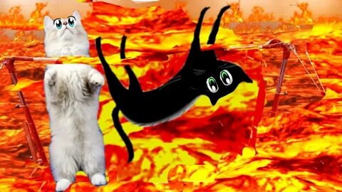 Коли ок
