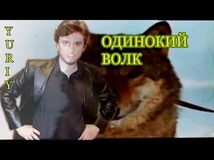 Волк песни слушать