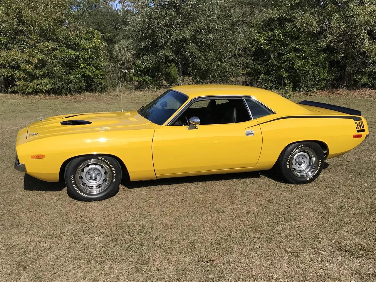Pip cuda. Plymouth barracuda 1974. barracuda 1974. плимут барракуда 1960. плимут барракуда 1973.