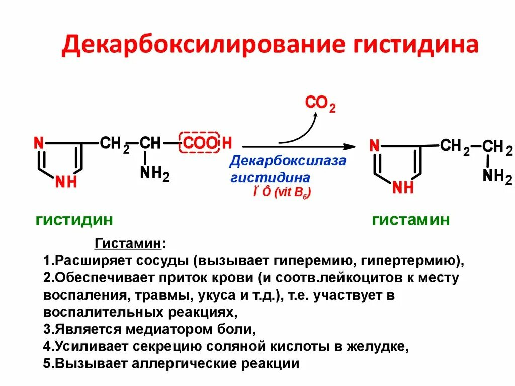 Продукт декарбоксилирования гистидина. Схемы реакций декарбоксилирования аминокислот. Реакция декарбоксилирования аминокислоты гистидина. Декарбоксилирование гистидина реакция. Декарбоксилирование аминокислот реакция