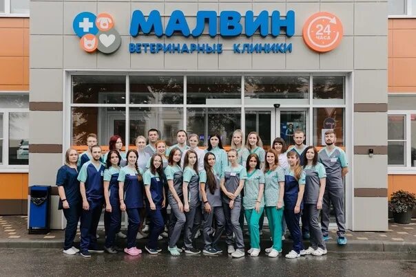 Малвин иваново суховка. Ветклиника иваново. Малвин иваново суховка. Ветклиника малвин. Малвин, иваново, улица постышева.